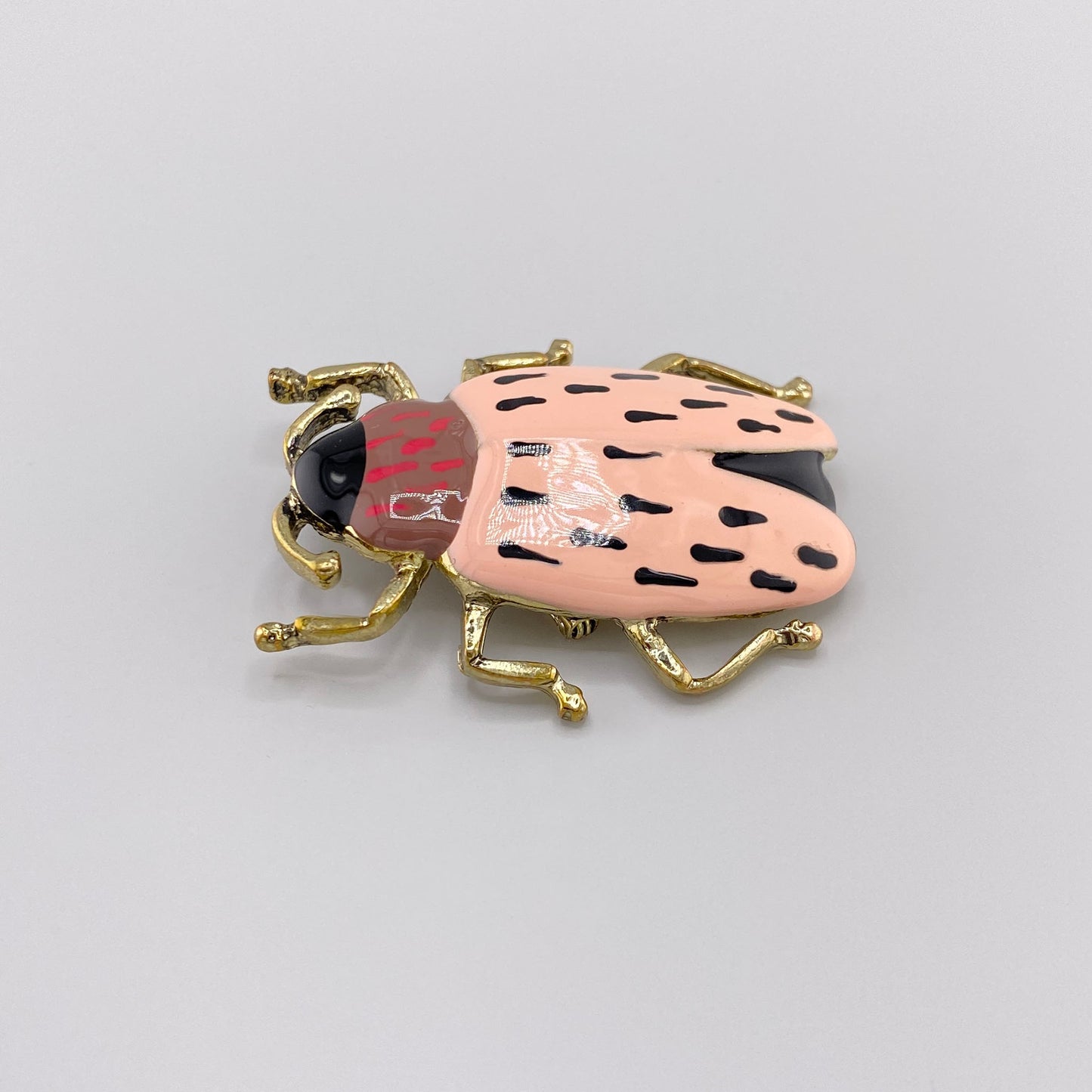 brooch beetle