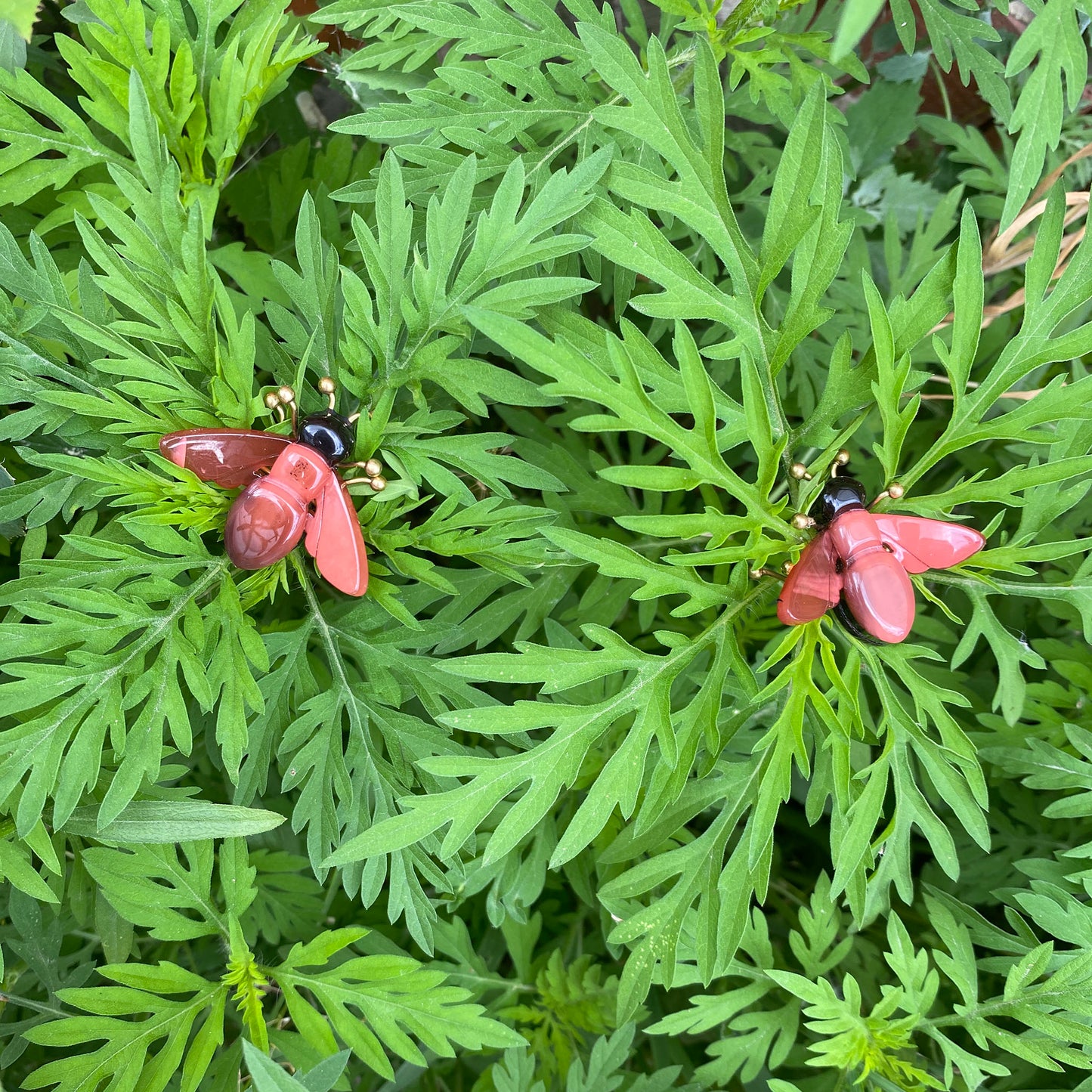 Bee earrings