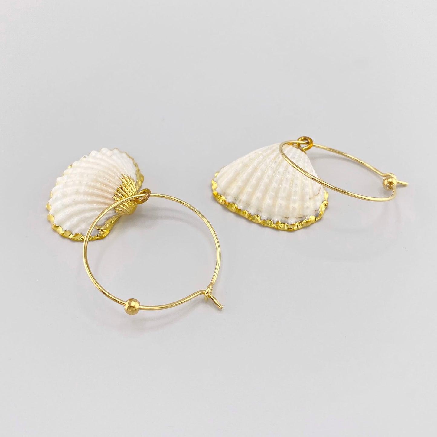 Natural shell earrings