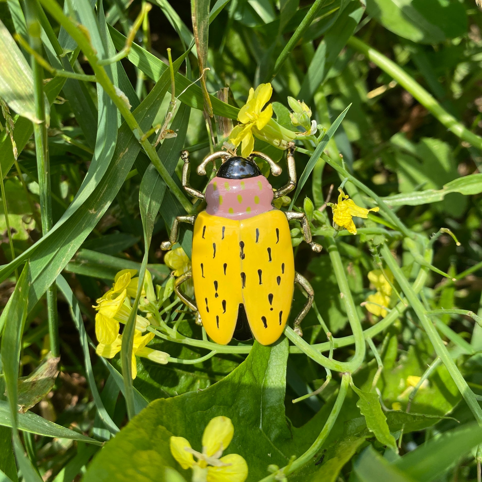 Yellow beetle brooch Sonata displayed outdoors among green leaves
